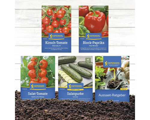 Abbildung verschiedener Kiepenkerl Saatgutpackungen: Cherrytomate, Blockpaprika, Salattomate, Salatgurke und Aussaat-Ratgeber