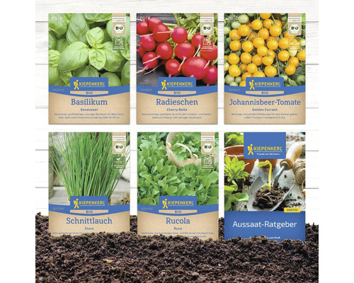 Verschiedene Kiepenkerl Bio Saatgutpackungen: Basilikum, Radieschen, Johannisbeertomate, Schnittlauch, Rucola und Aussaat-Ratgeber.