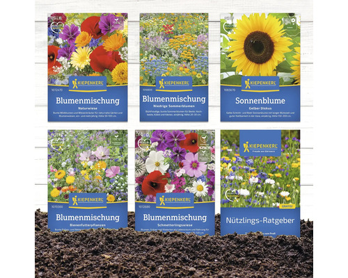 Verschiedene Kiepenkerl Blumensamenpackungen im Überblick.