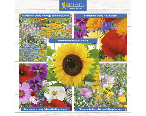 Collage verschiedener Blumensorten und des Kiepenkerl Logos.