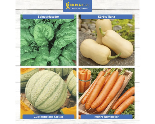 Collage verschiedener Gemüsesorten: Spinat, Kürbis, Zuckermelone und Karotten