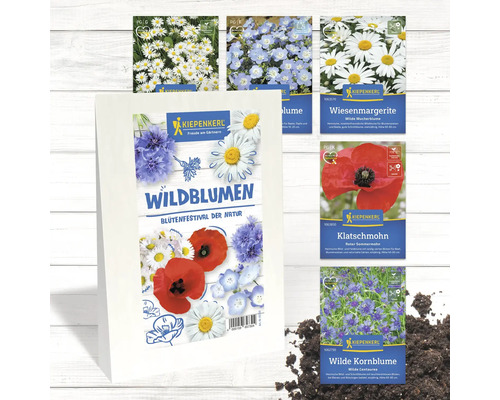 Samenmischung Wildblumen Blütenfestival der Natur von Kiepenkerl