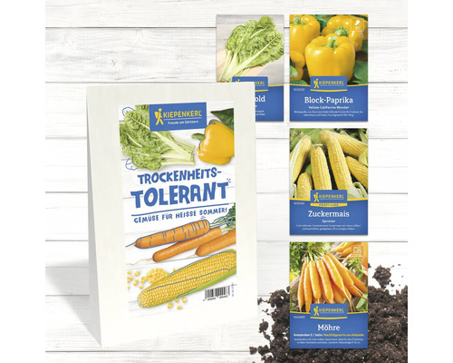 Gemüsesamen von Kiepenkerl: Mangold, Paprika, Zuckermais und Karotten