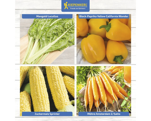 Collage mit Mangold, Paprika, Zuckermais und Karotten