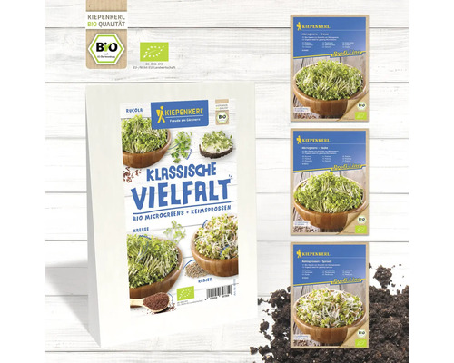 Kiepenkerl Bio Microgreens und Keimsprossen Vielfalt, inklusive Kresse, Rucola und Radieschen, neben einzelnen Microgreen- und Sprossenpackungen