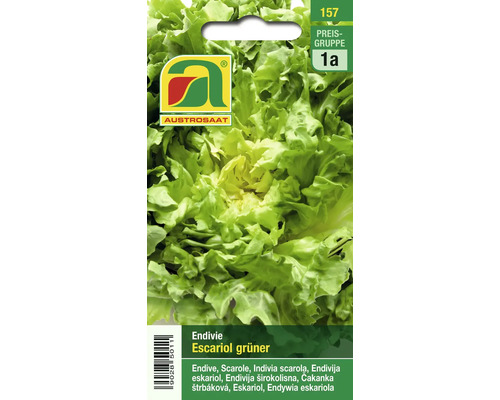 Samenpackung für Escariol grüner Endivie der Marke Austrosaat