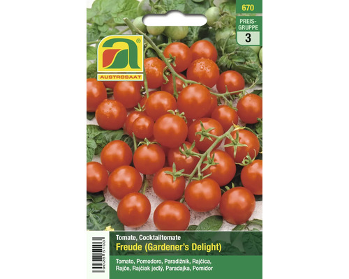 Tomatensamen Cocktailtomate Freude