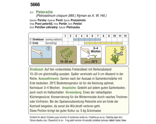 Informationen zum Anbau von Petersilie