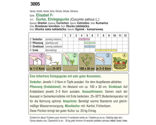 Anbauanleitung für Gurken der Sorte Elisabet F1 mit Informationen zu Vorkultur, Pflanzung, Direktsaat und Ernte