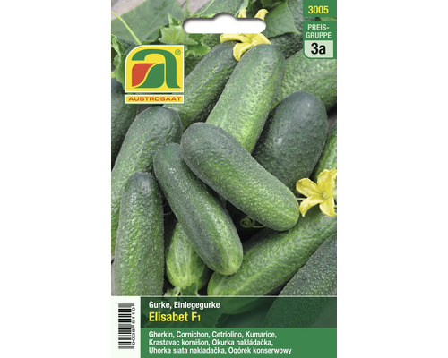 Samenpackung für Einlegegurken