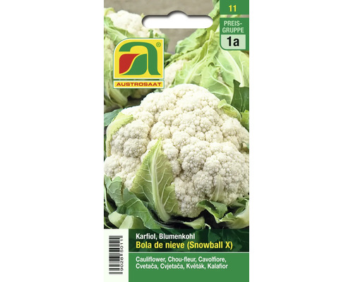 Samenpackung für Karfiol beziehungsweise Blumenkohl der Sorte Bola de nieve (Snowball X) von Austro Saat