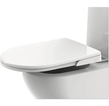 Toilette mit Bidetfunktion im Detail