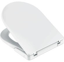 Toilettendeckel aus Kunststoff