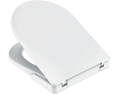 Toilettendeckel aus Kunststoff