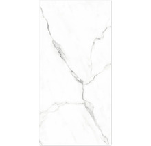 Fliese in Marmoroptik