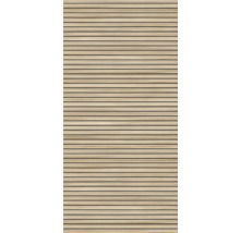 Holzpaneel mit horizontalen Lamellen für Wand- oder Deckenverkleidung