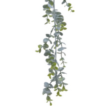 Eucalyptusgirlande mit runden Blättern, Dekoration