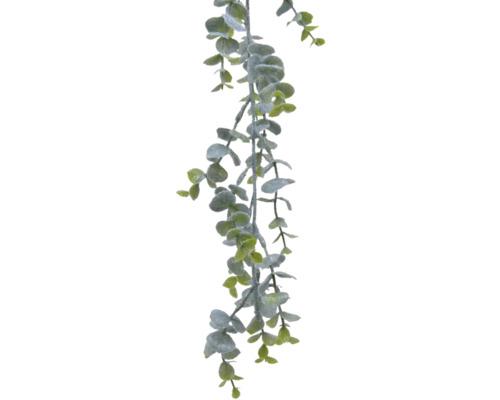 Eucalyptusgirlande mit runden Blättern, Dekoration