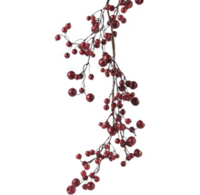 Dekorative Beerenzweige mit roten Beeren