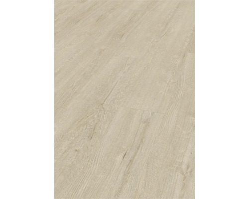 Swiss Krono Laminat Horizont Creme Eiche Landhausdiele 1380 x 193 x 8 mm Heller Laminatboden mit Holzoptik.