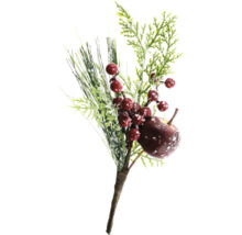 Dekorativer Zweig mit Apfel und Beeren für weihnachtliche Dekorationen