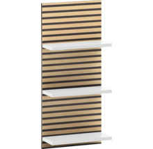Wandregal mit Holzrückwand und drei Regalböden