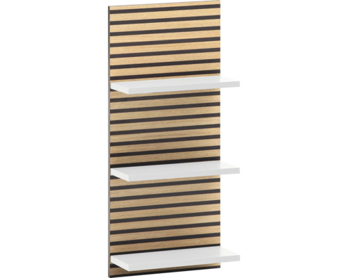 Wandregal mit Holzrückwand und drei Regalböden