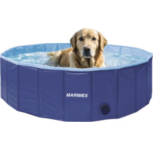 Hund in einem Marimex Hunde Pool