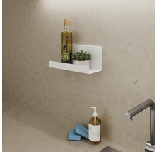 Wandregal mit Olivenöl, Pflanze, Spülmittel und Schwamm