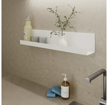 Wandregal mit Getränk, Gläsern, Vase und Pflanze über Waschbecken mit Seifenspender und Schwamm