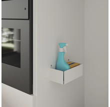 Reinigungsmittel und Schwamm in einem weißen Wandregal