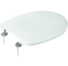 Toilettendeckel mit Befestigung