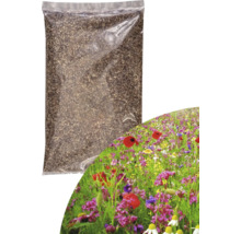 Packung Blumensamen für eine bunte Blumenwiese