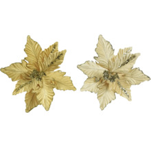 Zwei goldfarbene Weihnachtssternblüten als Christbaumschmuck