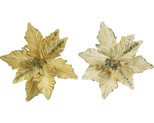Weihnachtsdeko Weihnachsstern 24x7 cm gold Zwei goldfarbene Weihnachtssternblüten als Christbaumschmuck