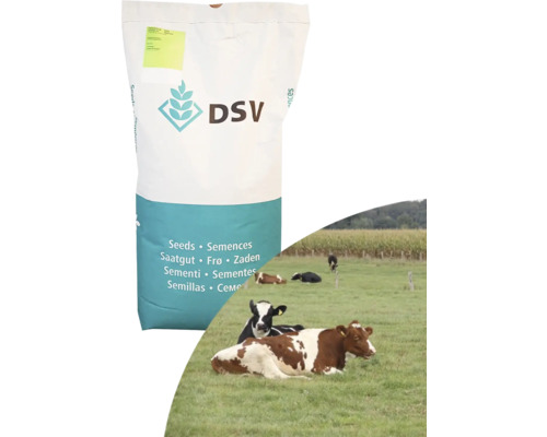 Grünlandsamen Kiepenkerl Weidemischung Nachsaat 10 kg DSV Saatgut Sack mit Weizenähre Logo und Kühen auf einer Wiese