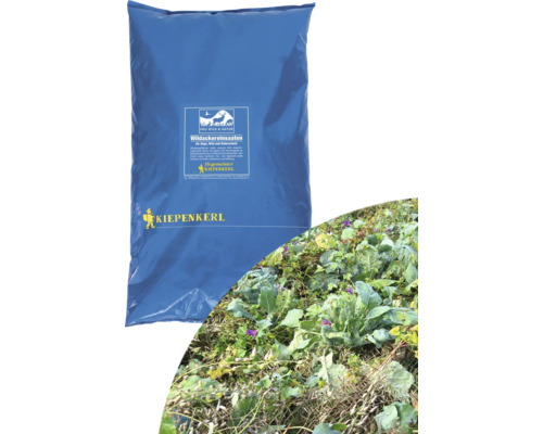 Wildacker Herbst- und Winteräsungsgemisch 10 kg / 3300 m² Wildackereinsaat in blauer Verpackung mit Feld