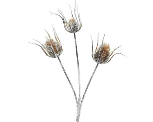 Weihnachtsdeko Blume aus Poyester 8x38x88 cm braun Dekorative Karde mit Schnee-Effekt