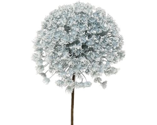Weihnachtsdeko Blume aus Kunststoff 23x23x70 cm grün Dekorative Allium-Zwiebelblume mit Schnee-Effekt auf Stiel