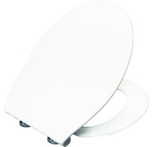 Toilettendeckel aus Kunststoff