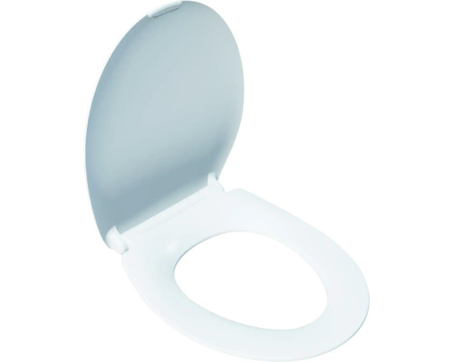 Toilettendeckel aus Kunststoff