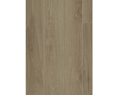 Nahaufnahme von Paneelen mit Holzmuster für Bodenbeläge