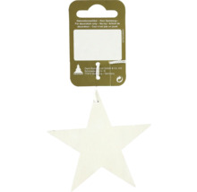 Sternförmige Holzdekoration an einer Anhängeetikett.