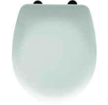 Toilettendeckel aus Sanitärkeramik