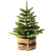 Künstlicher Tannenbaum im Holzkasten