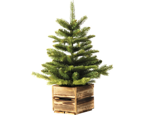 Künstlicher Tannenbaum im Holzkasten