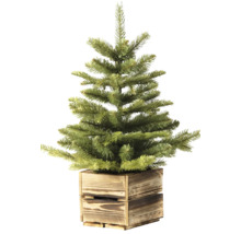 Kleiner künstlicher Weihnachtsbaum im Holzkasten