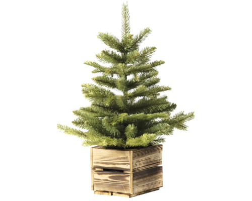 Kleiner künstlicher Weihnachtsbaum im Holzkasten