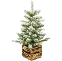 Verschneiter künstlicher Weihnachtsbaum in Holzkiste
