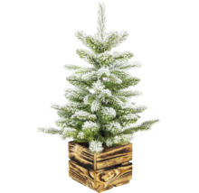 Künstlicher, beschneiter Weihnachtsbaum im Holztopf